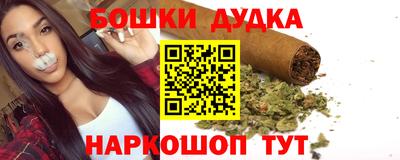гидра Шелехов