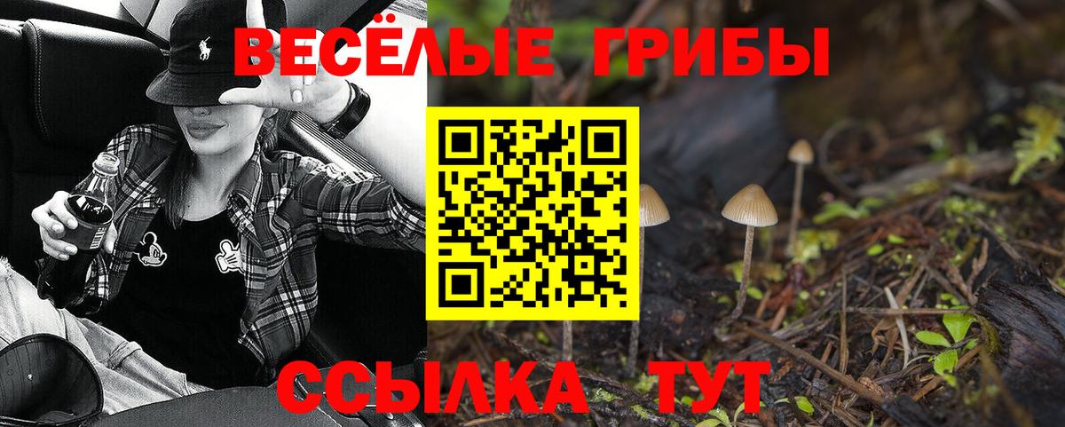 Псилоцибиновые грибы Magic Shrooms Благодарный