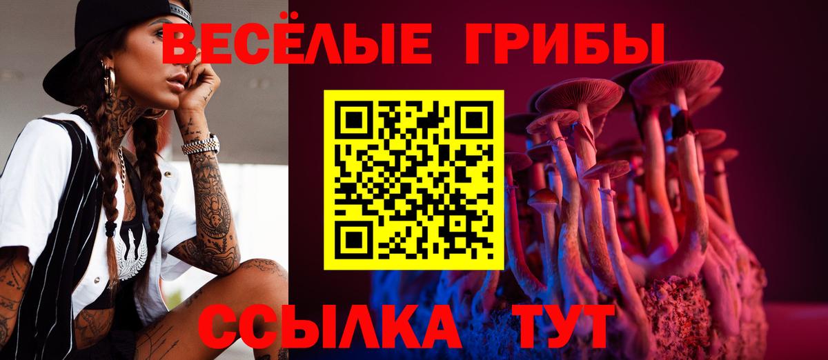 Благодарный  Галлюциногенные грибы Psilocybine cubensis  как найти наркотики  Вход с VPN  Псилоцибиновые грибы Magic Shrooms 