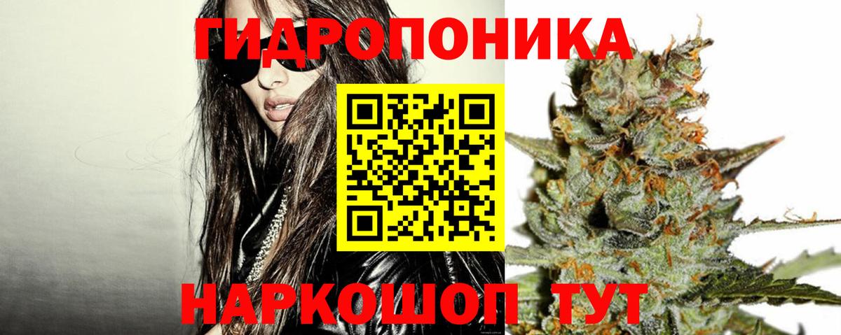 Благодарный  Каннабис AK-47  Вход с VPN  Бошки марихуана OG Kush  Марихуана марихуана 